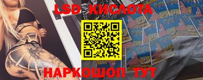 прущие грибы Пенза