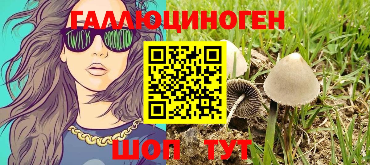 Псилоцибиновые грибы GOLDEN TEACHER Пенза